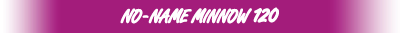 nnm_120_logo01w.jpg